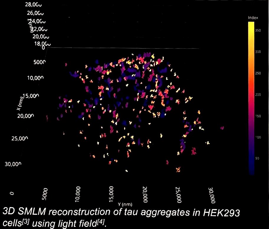 ChoLab_Synapse's tweet image. Even last day #ADPD2025, EXCELLENT poster Eve Wong from @KlenermanLab @UKDRI @Cambridge_Uni 🤩 Wow, amazing tool, 👏 great job. Hope to reveal more about #Tau aggregation and understand specific mechanisms of pathophysiology. Great conference! @adpdnet