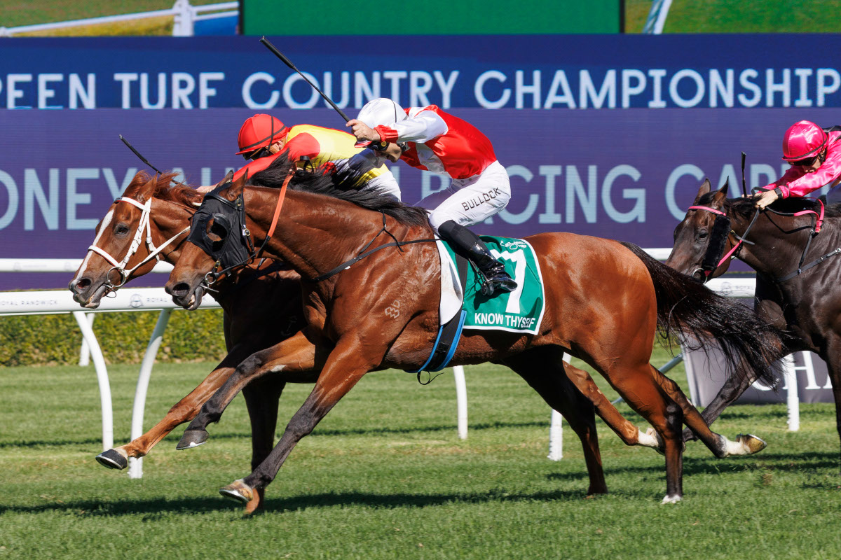 Arrowfield Stud (@arrowfieldstud) on Twitter photo One of the best days in Arrowfield's 40-year history thanks to Country Champs Final winner Know Thyself (The Autumn Sun-Mantra Of Life). Congratulations <a href="/Paulmessara/">Paul Messara</a>, <a href="/LGavranich/">Leah Gavranich</a>, <a href="/Aaronbullock90/">Aaron Bullock</a>, <a href="/dan_cobby/">Dan Cobby</a> & <a href="/ladbrokescomau/">Ladbrokes Australia</a> Racing Club! One of the best days in Arrowfield's 40-year history thanks to Country Champs Final winner Know Thyself (The Autumn Sun-Mantra Of Life). Congratulations <a href="/Paulmessara/">Paul Messara</a>, <a href="/LGavranich/">Leah Gavranich</a>, <a href="/Aaronbullock90/">Aaron Bullock</a>, <a href="/dan_cobby/">Dan Cobby</a> & <a href="/ladbrokescomau/">Ladbrokes Australia</a> Racing Club!