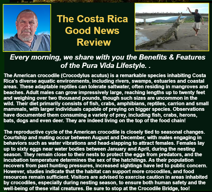 CostaRicaFunNow's tweet photo. https://t.co/7cEqFJ9cmp