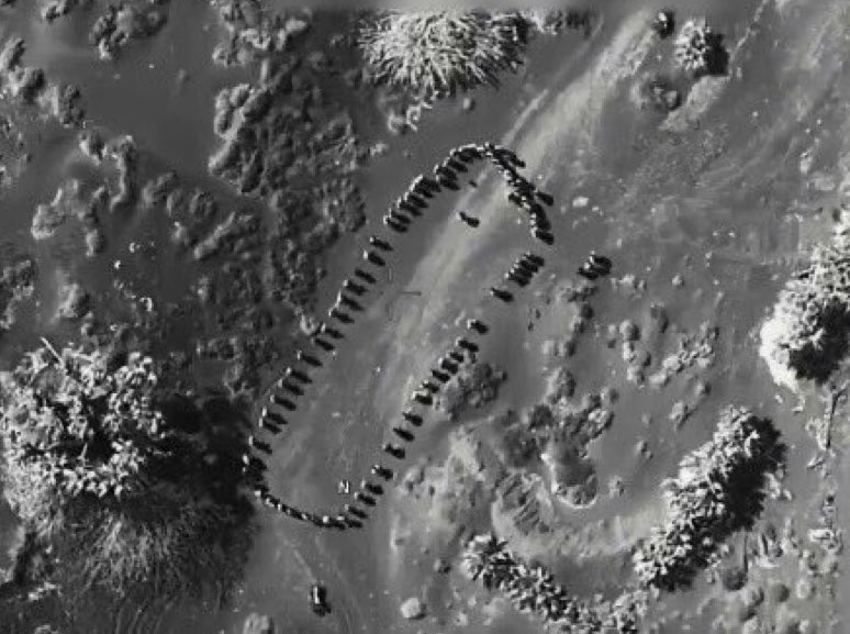 jacksonhinkle's tweet photo. ❌ 15 years ago, we learned about the horrors of US WAR CRIMES from Wikileaks

✅ Today, we learn about the horrors of US WAR CRIMES from the President’s Twitter https://t.co/nkir2u43yi