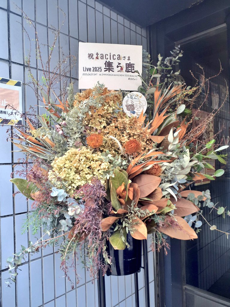 mi3_ap's tweet photo. 20周年おめでとうございます🦌🌏️
#tacica  #集う鹿  #厄年はプラシーボ https://t.co/KhXIGE6TZw