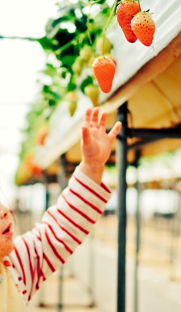 ことのし tweet media