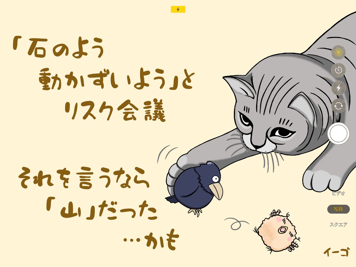 eimi_note's tweet photo. イーゴ：本日の『ココロの自撮り』

#絵日記 
#短歌 ? 
#動かざること山の如し #リスク管理 #鳥 #猫

#お絵描き by ｲｰｺﾞ https://t.co/ty0MPo64Rz