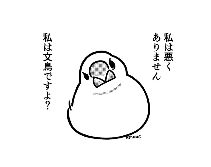 あざとい文鳥 