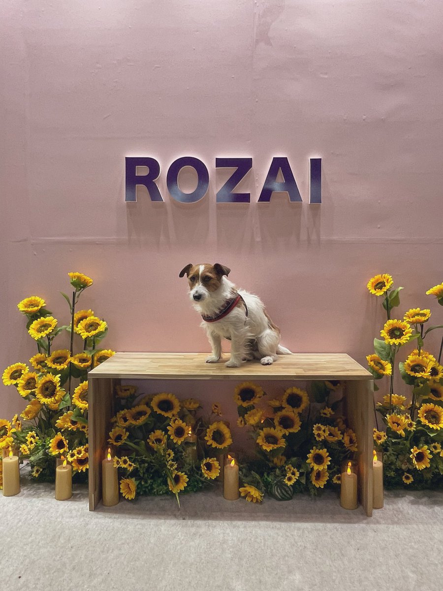 まことページ JB-Z-114S マーカーステー SUS430 19ST｜製品情報｜日本ボデーパーツ