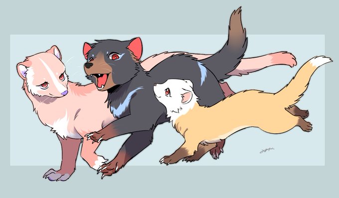 ハクビシン タスマニアデビル テン 