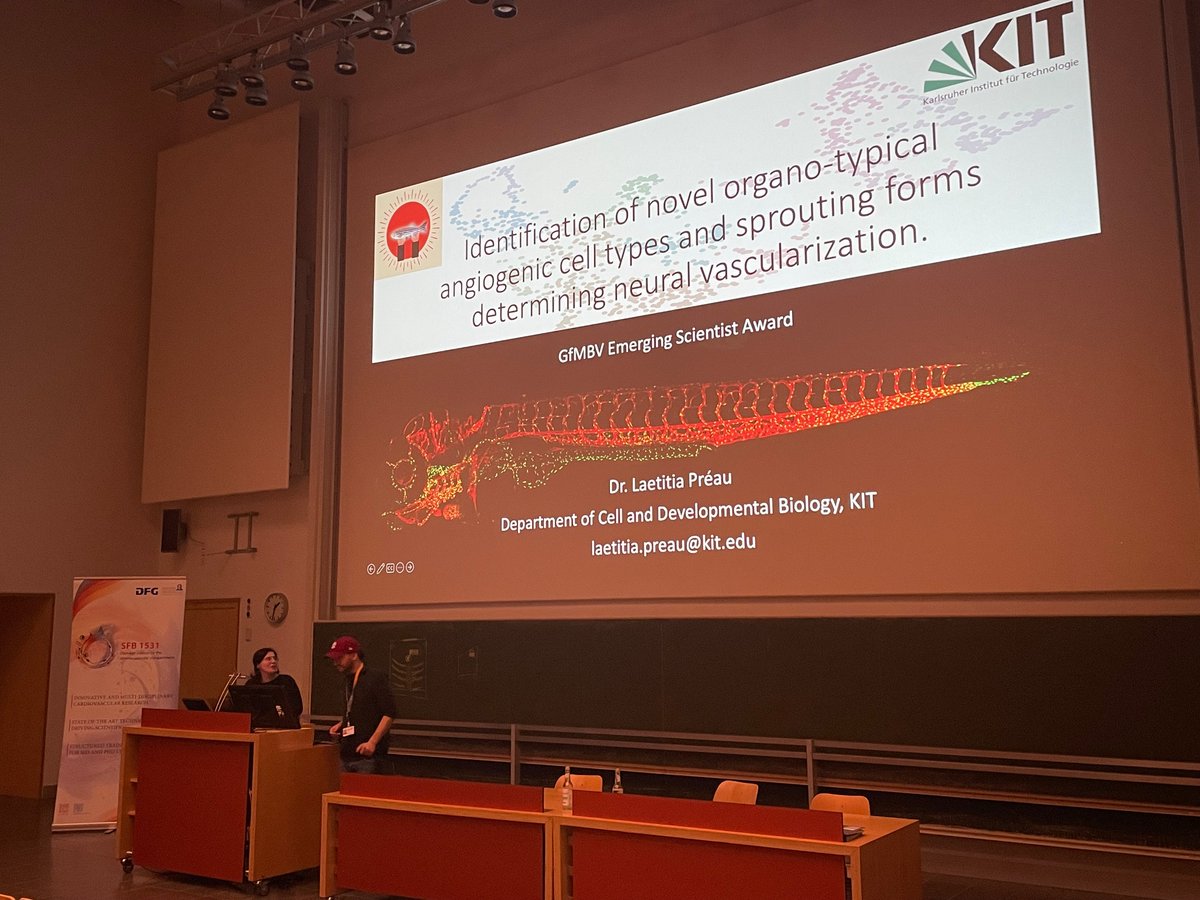 Next up Laetitia Préau from <a href="/lenoblelab/">lenoblelab</a> on novel organotypical angiogenic cell types determining neural vascularization