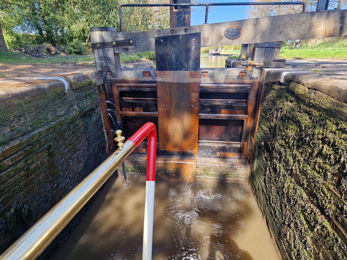 Andrew Healey tweet media