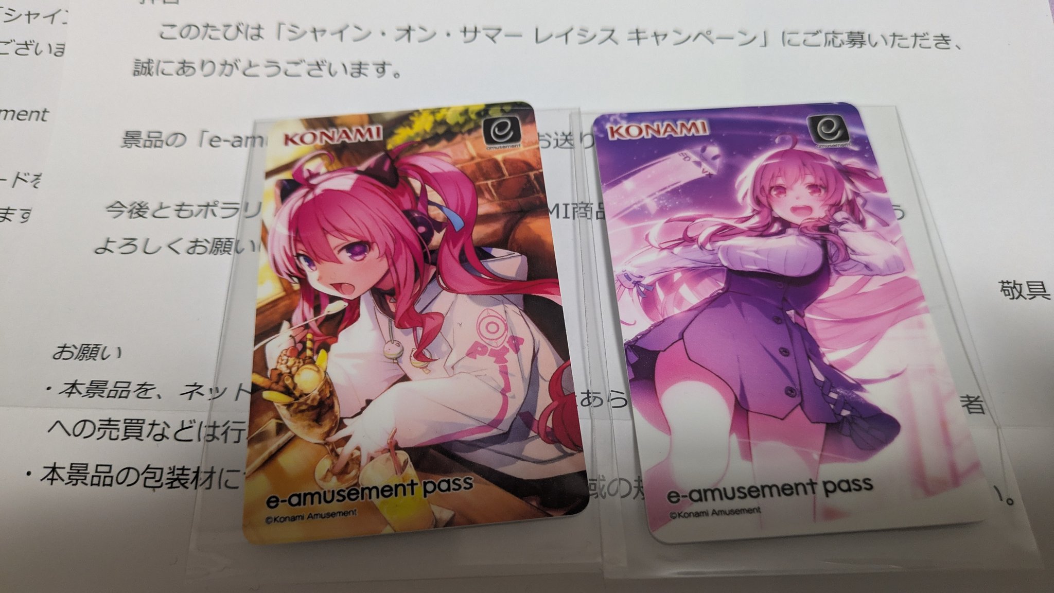 e-amusement pass [-アイ-レイシス&TAMA] e-amusement pass レイシス