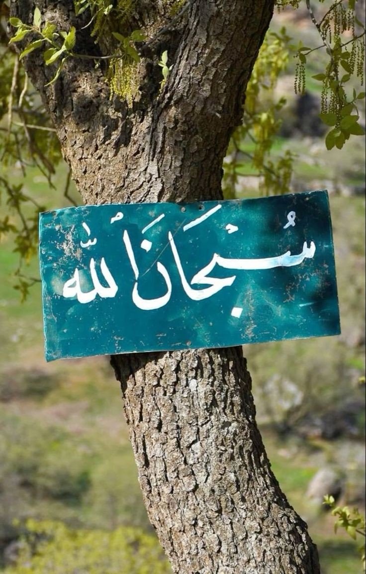 سبحان الله وبحمده