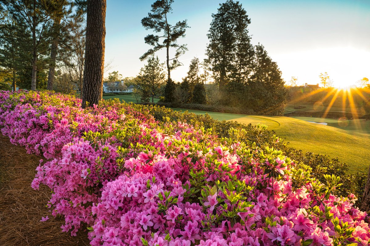 The sun rises at Augusta National Golf Club. #themasters