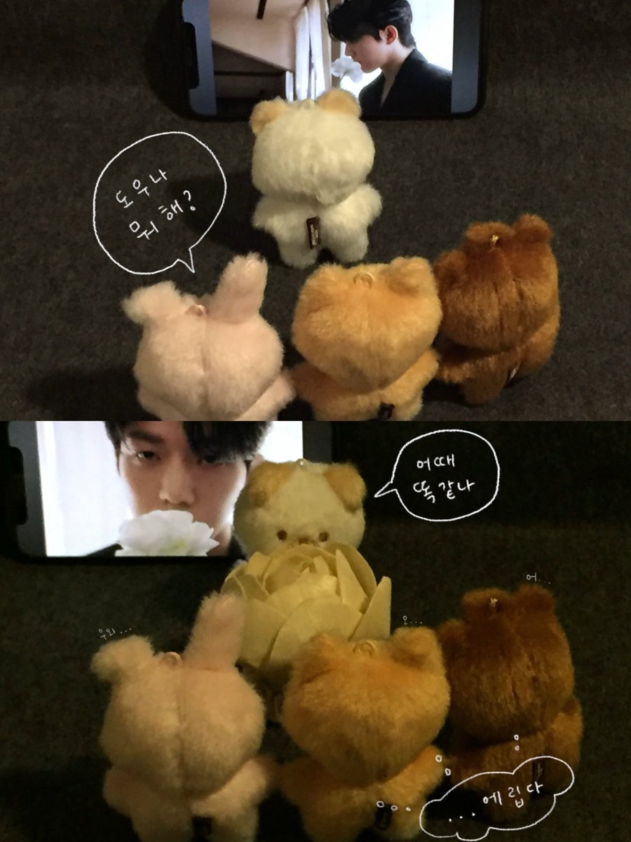 dsdrdw's tweet photo. #ONEFINEDAY6
#PERFECTDAY6

그런 날 있잖아
아무 이유 없이 데이식스 생각만으로 입 찢어지는 그런 날
데이식스에게 사랑한다 질리도록 말해주고 싶은 그런 날 
그냥 데이식스 하나면 되는 그런 날
요즘 디아이콘 덕분에 매일매일이 그런 날이야 ◠‿◠ ♡ https://t.co/d8FonuBa6H