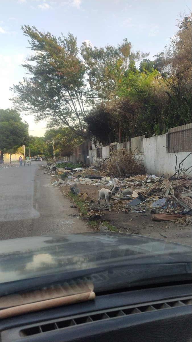 Jupacudid1's tweet photo. Señores @aseodelnorteof1 @aseodelnorte los Vallenatos cancelamos una tarifa bien alta por el servicio de recolección de aseo, como para que sus calles se encuentren en estás condiciones. Esto es en el Pabellón de los Pescados, arrojan y queman basuras, solicitó su intervención. https://t.co/slHoWnluYs