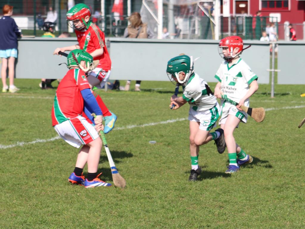 CBS Kilkenny - an Edmund Rice School (@cbskilkenny1859) on Twitter photo All the action from this morning's Festival of Hurling in a sunny Palmerstown. @dicksboroGAA <a href="/VillageGAA/">James Stephens GAA & Camogie Club</a> <a href="/oloughlingaels/">OLoughlin Gaels GAA & Camogie</a> <a href="/DanesfortCLG/">Danesfort GAA & Camogie Club</a> <a href="/TheBridgeGAA/">Bennettsbridge GAA</a> @DunamagginGAA @NaomhLachtain <a href="/ClaraGAA/">Clara GAA, Camogie & LGFA</a> <a href="/TullaroanHurlin/">Tullaroan GAA</a> <a href="/stmartinskk/">St. Martin's Hurling</a> <a href="/graiguebcGAA/">Graigueballycallan</a> <a href="/ThomastownGAA/">Thomastown GAA Club</a> <a href="/GowranGAA/">GowranGAA</a> <a href="/KilkennyCLG/">Kilkenny GAA</a> All the action from this morning's Festival of Hurling in a sunny Palmerstown. @dicksboroGAA <a href="/VillageGAA/">James Stephens GAA & Camogie Club</a> <a href="/oloughlingaels/">OLoughlin Gaels GAA & Camogie</a> <a href="/DanesfortCLG/">Danesfort GAA & Camogie Club</a> <a href="/TheBridgeGAA/">Bennettsbridge GAA</a> @DunamagginGAA @NaomhLachtain <a href="/ClaraGAA/">Clara GAA, Camogie & LGFA</a> <a href="/TullaroanHurlin/">Tullaroan GAA</a> <a href="/stmartinskk/">St. Martin's Hurling</a> <a href="/graiguebcGAA/">Graigueballycallan</a> <a href="/ThomastownGAA/">Thomastown GAA Club</a> <a href="/GowranGAA/">GowranGAA</a> <a href="/KilkennyCLG/">Kilkenny GAA</a>
