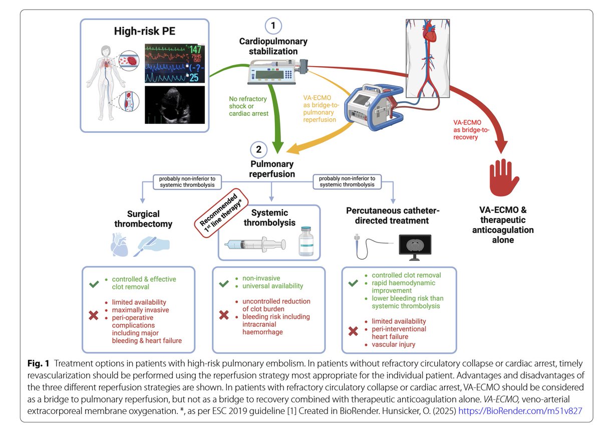 High‑risk pulmonary embolism: the significance and perspectives of pulmonary reperfusion
VA-ECMO should— whenever necessary—be used as a bridge to pulmonary reperfusion, 
Intensive Care Med doi.org/10.1007/s00134…