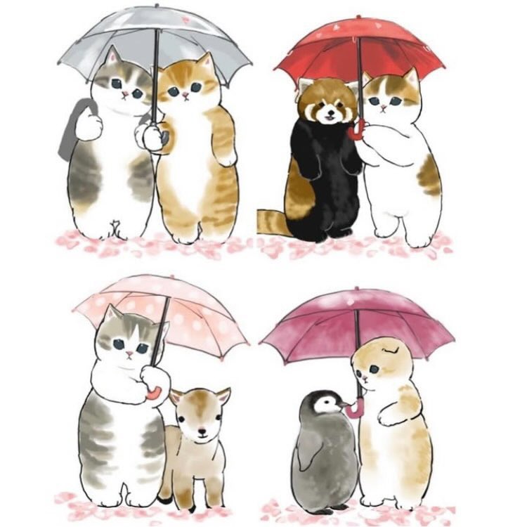 ぢゅの🐈 on X: 