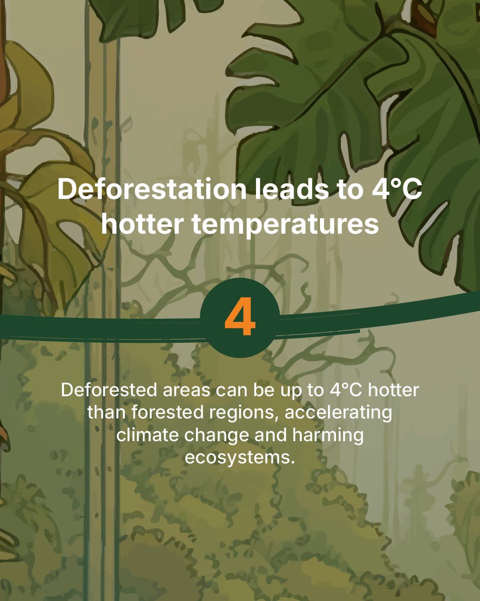 Did you know deforested areas can be up to 4°C hotter than forests?

Losing trees doesn’t just harm ecosystems—it heats up the planet and fuels the climate crisis.

🔗: bit.ly/3FQJnVg

#ForestsMatter
