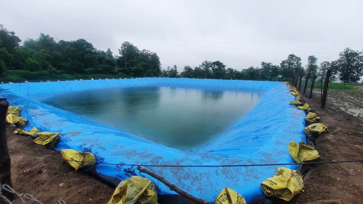 Ronnie Screwvala (@ronniescrewvala) on Twitter photo Belpanda, Nashik - once battling for water- now a v strong transformation model <a href="/WeAreSwades/">Swades Foundation</a> with Honeywell’s support - GroundWater Recharge to Farm Ponds - generating 52.5 mill litres of water for Harvesting, impacting 600 lives permanently. #StoriesOfSwades 👍🙏 Belpanda, Nashik - once battling for water- now a v strong transformation model <a href="/WeAreSwades/">Swades Foundation</a> with Honeywell’s support - GroundWater Recharge to Farm Ponds - generating 52.5 mill litres of water for Harvesting, impacting 600 lives permanently. #StoriesOfSwades 👍🙏