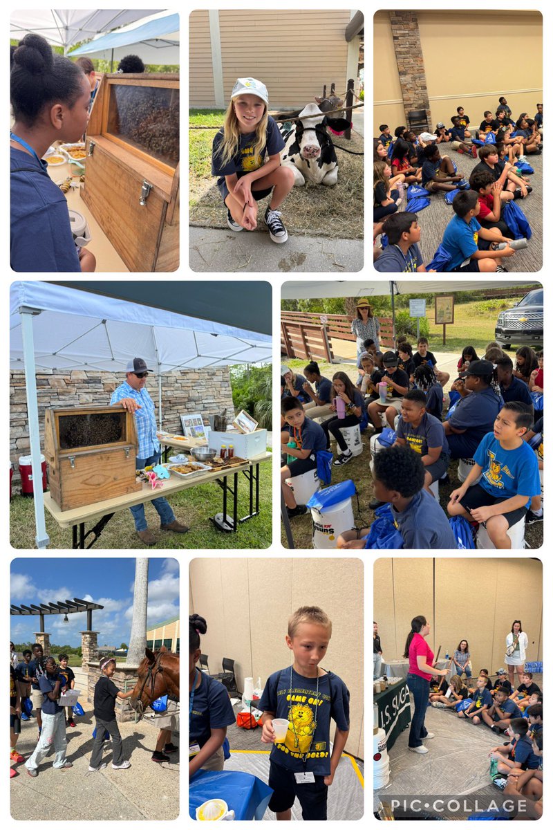 Stephanie Irish (@mrsirishscience) on Twitter photo From squeezing their own orange juice to shaking cream to make butter. <a href="/LelyLionsRoar/">Lely Elementary</a> fourth graders learned all about Florida's Agriculture on their amazing <a href="/CollierScience/">Collier Science Dept</a> field trip! <a href="/collierschools/">Collier County Public Schools</a> From squeezing their own orange juice to shaking cream to make butter. <a href="/LelyLionsRoar/">Lely Elementary</a> fourth graders learned all about Florida's Agriculture on their amazing <a href="/CollierScience/">Collier Science Dept</a> field trip! <a href="/collierschools/">Collier County Public Schools</a>