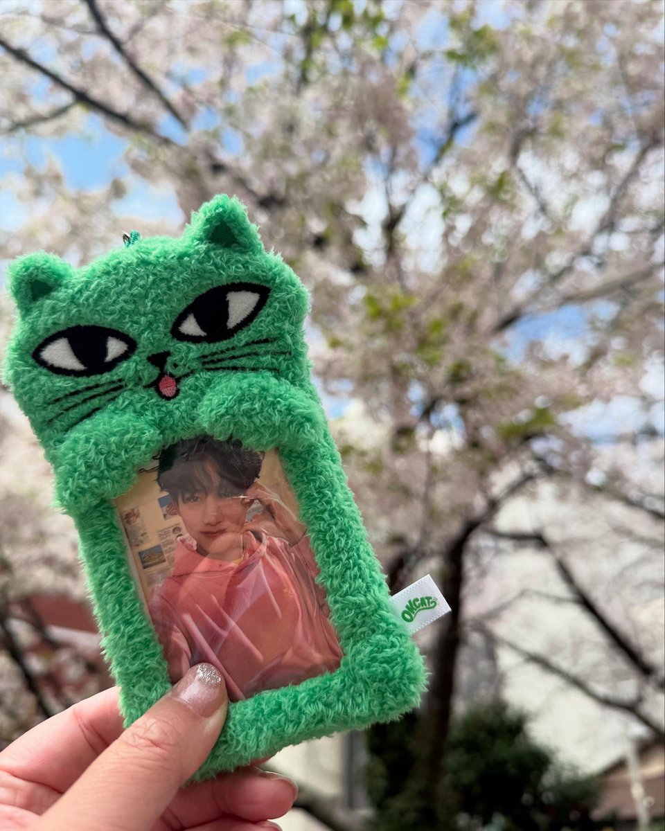 桜満開🌸
ソジソプオッパのペンミ、楽しかったー
いい匂いしたー
テギョン、自由で笑ったw