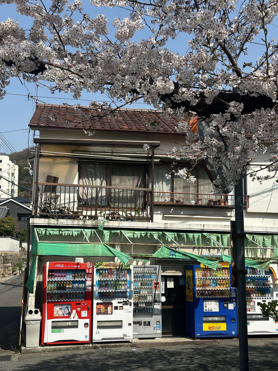 xtetay's tweet photo. Sakura
#sakura #cherryblossom #japan https://t.co/8J43PHW0ES