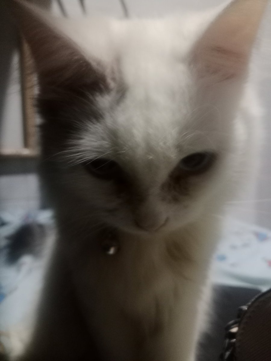 gimana ya cara ngasih taunya klo kita udh ga sahur lg, tdi pagi jam 3 di demo suruh bangun ma ni bocil 😫 ( muka marah sambil ngomel)