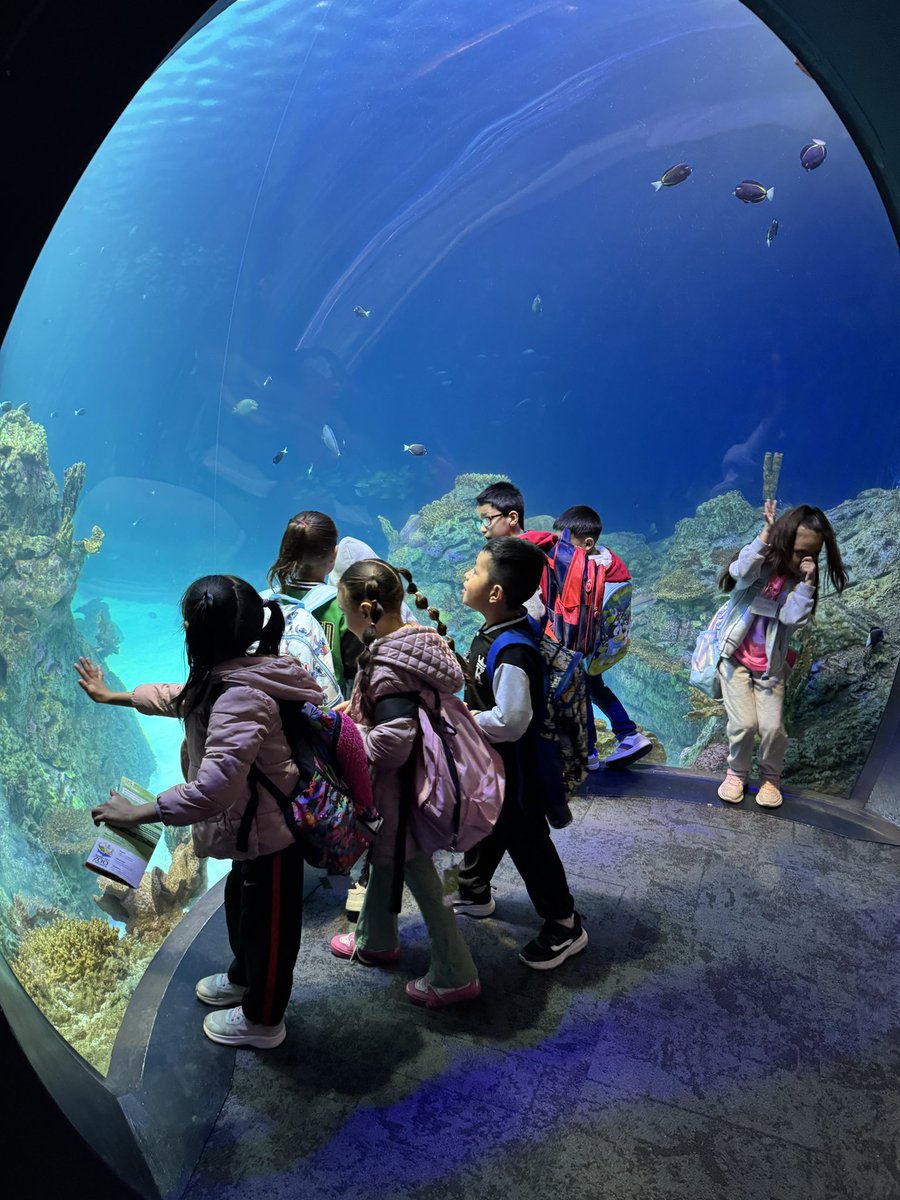 PeggyEverist tweet media