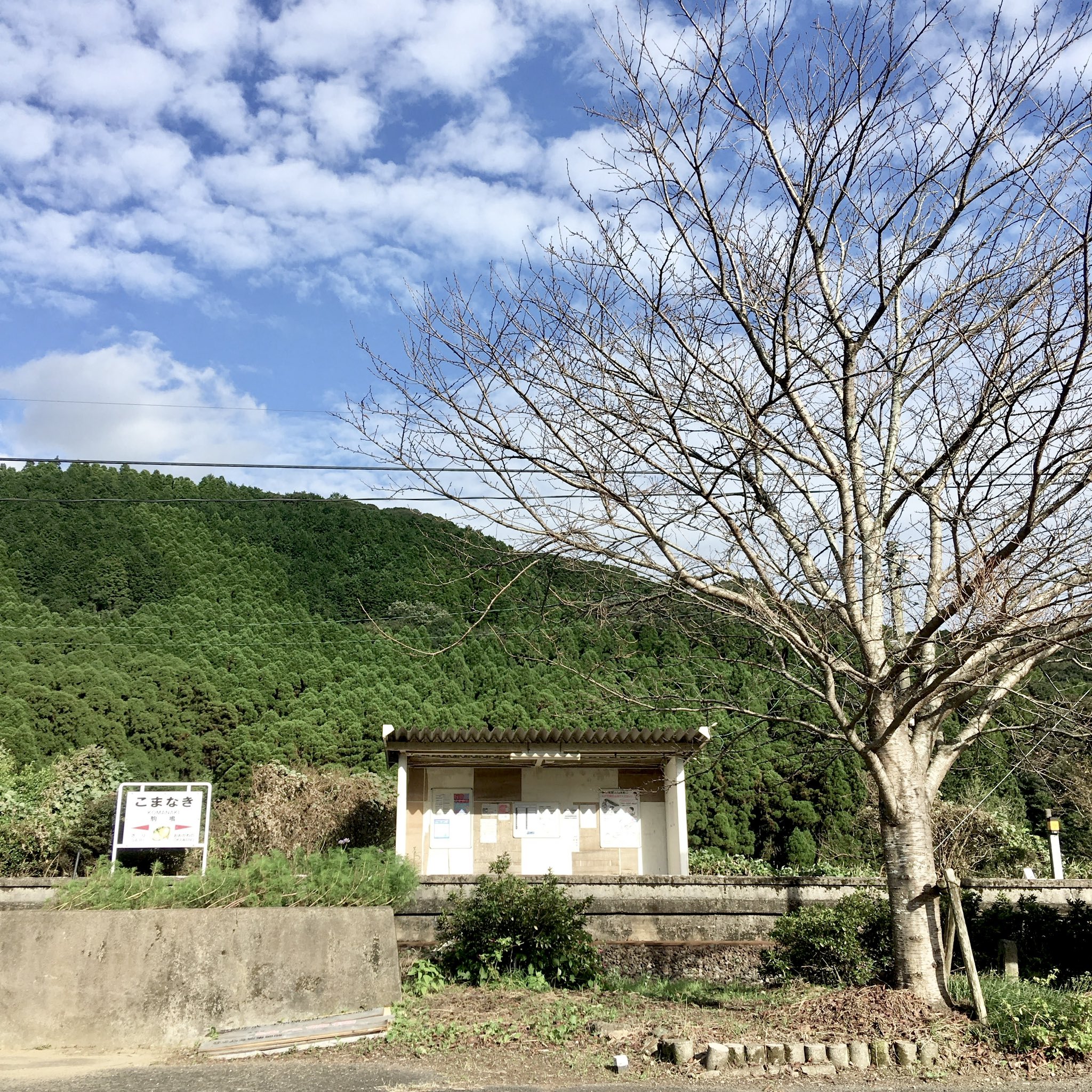 ギャップに萌えろ