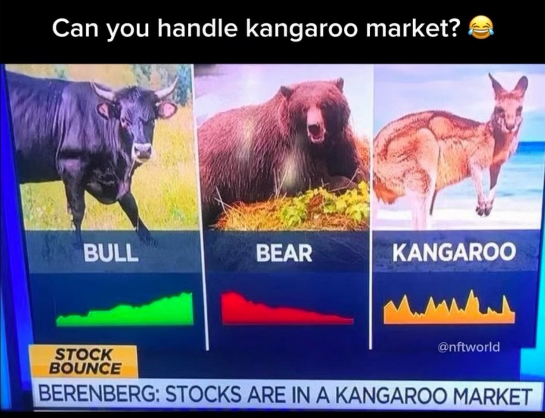 ChimpyToken's tweet image. #Cardano #ada $ada #chimpy $chimpy #memecoins #memecoin #baboonillionaires