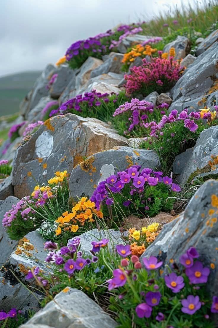 CaptureYourGlow's tweet image. Nothing’s impossible, just take the climb— Even flowers bloom in rocky time. 🌼 🌿  #BloomI #NothingIsImpossible #Shine #Nature #inspiration #Wildflower #Strength ebay.com/str/cygjewelry