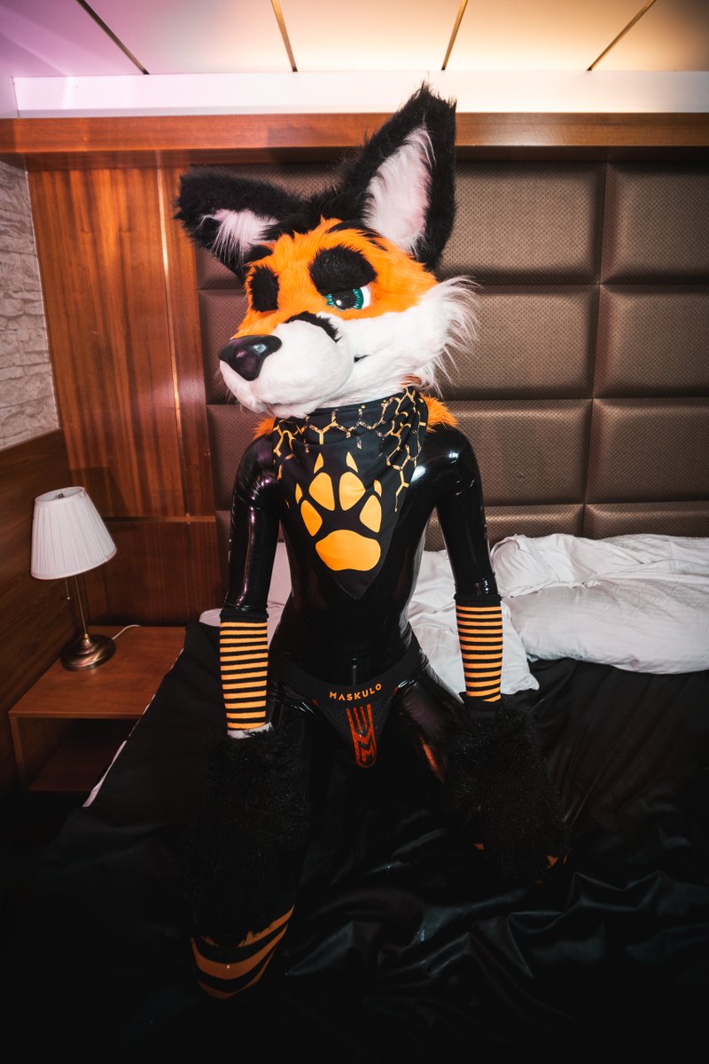 Lachim_Fox tweet media