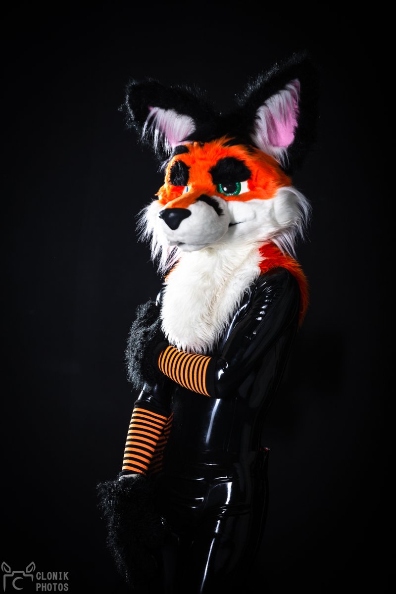 Lachim_Fox tweet media