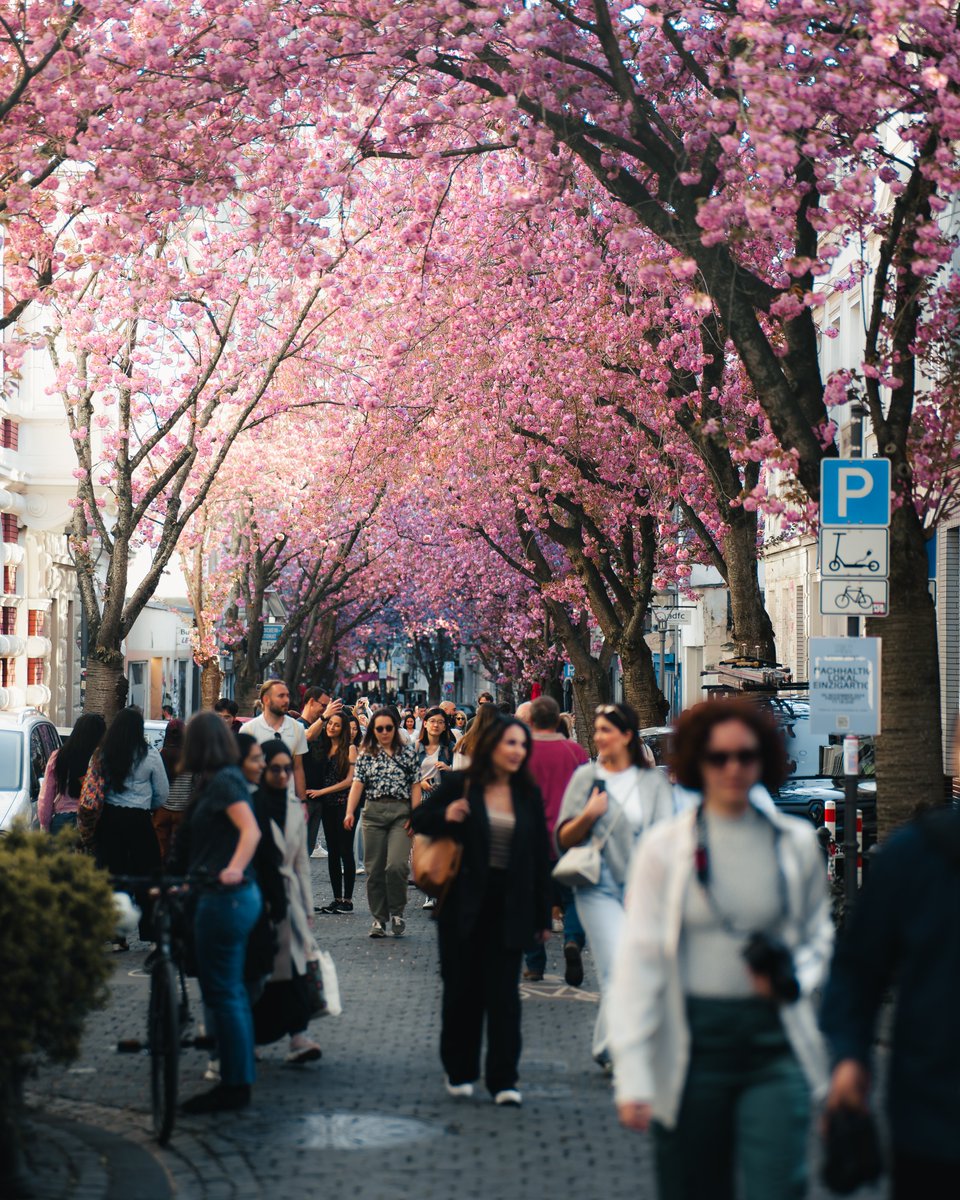 zyrdack's tweet photo. Heerstrasse Bonn https://t.co/fZaaoM32bS