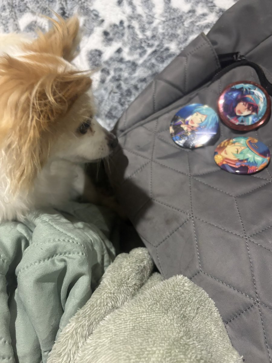 ukekanata's tweet image. #baffled