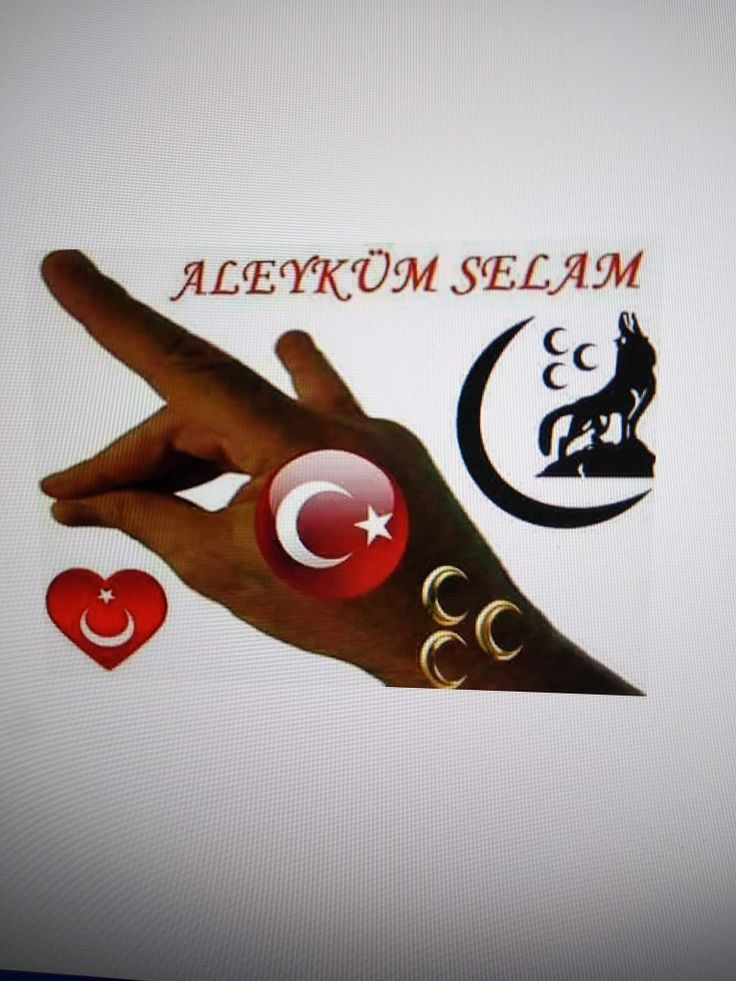 MM.elek33Kara tweet media