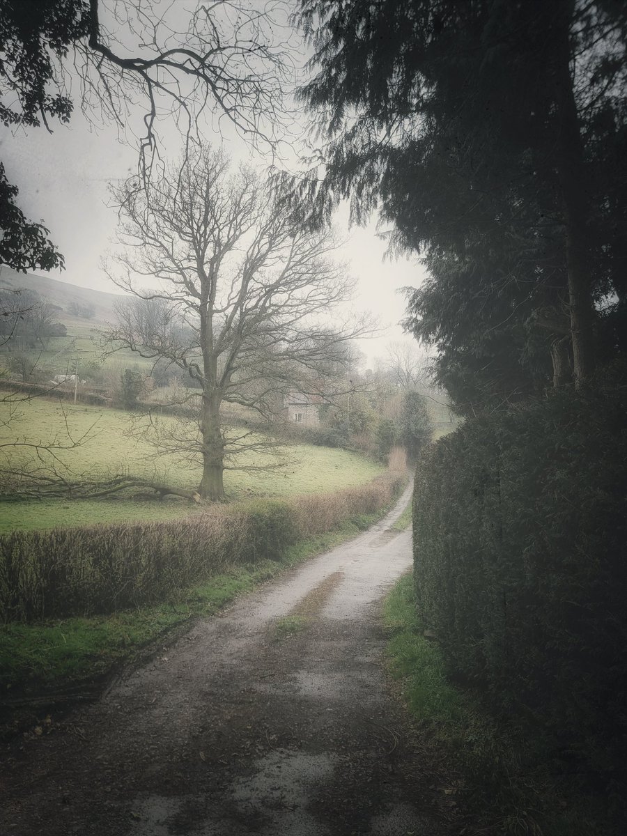 From a recent trip to Wales 🏴󠁧󠁢󠁷󠁬󠁳󠁿🤍