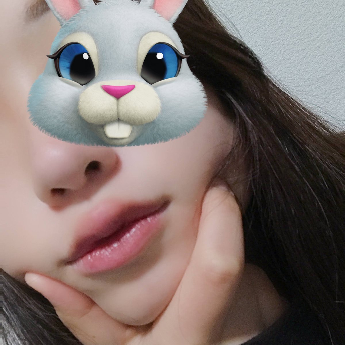 🐰