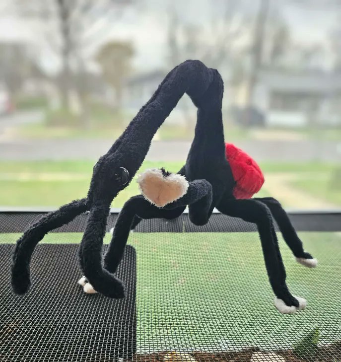 plushypuppy's tweet image. Good morning, have a giraffe weevil to soothe the nerves.
Are you soothed yet? Look at his lil boots!

This guy&apos;s up in my shop, currently one of a kind.