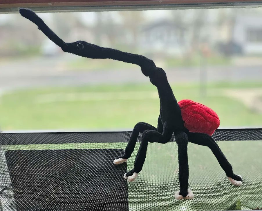 plushypuppy's tweet image. Good morning, have a giraffe weevil to soothe the nerves.
Are you soothed yet? Look at his lil boots!

This guy&apos;s up in my shop, currently one of a kind.