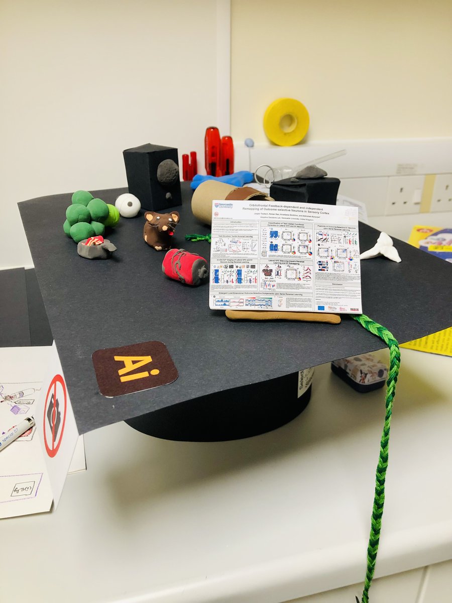 abhii_mit's tweet image. Jasper successfully defended his PhD thesis yesterday with examiners Tim Griffiths and Geoff Schoenbaum. The title of his thesis is 'Behavioural and neural correlates of flexible tactile learning' 👨🎓🔖 Congrats Jasper 🥂