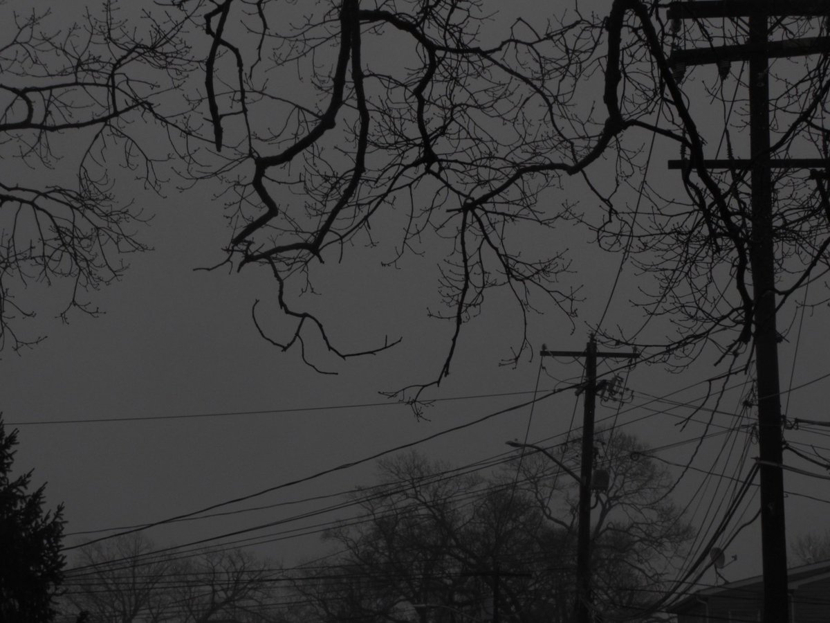 02void's tweet image. 