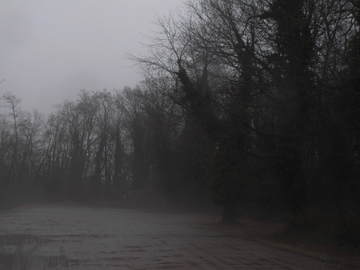 02void's tweet image. 