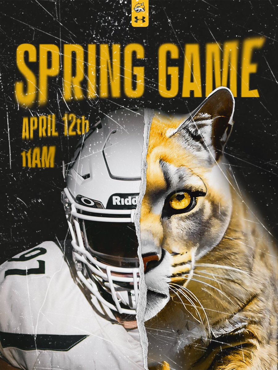 One week away! 🐯🐾🔥

#ForThePaw #BLACKxGOLD #PawUp26