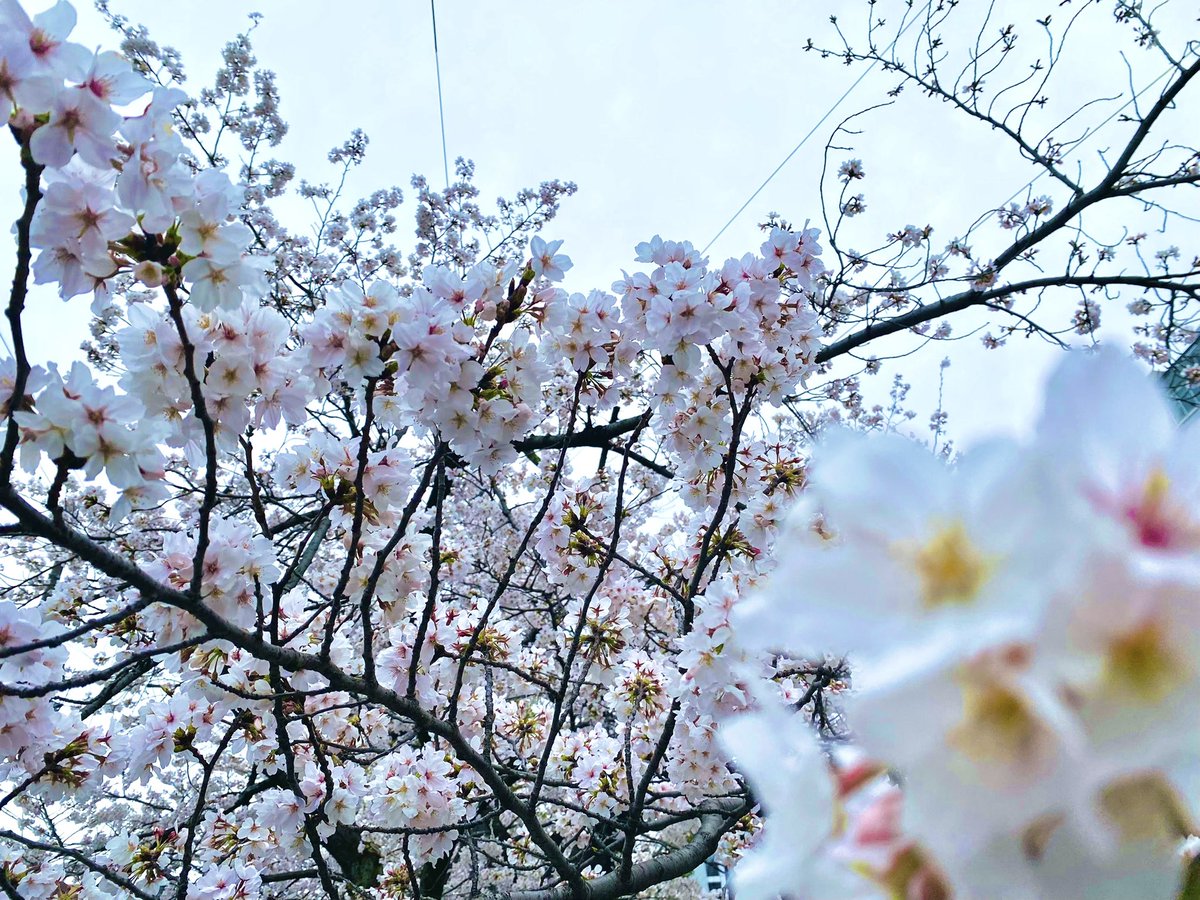 Tory🍊💫 tweet media