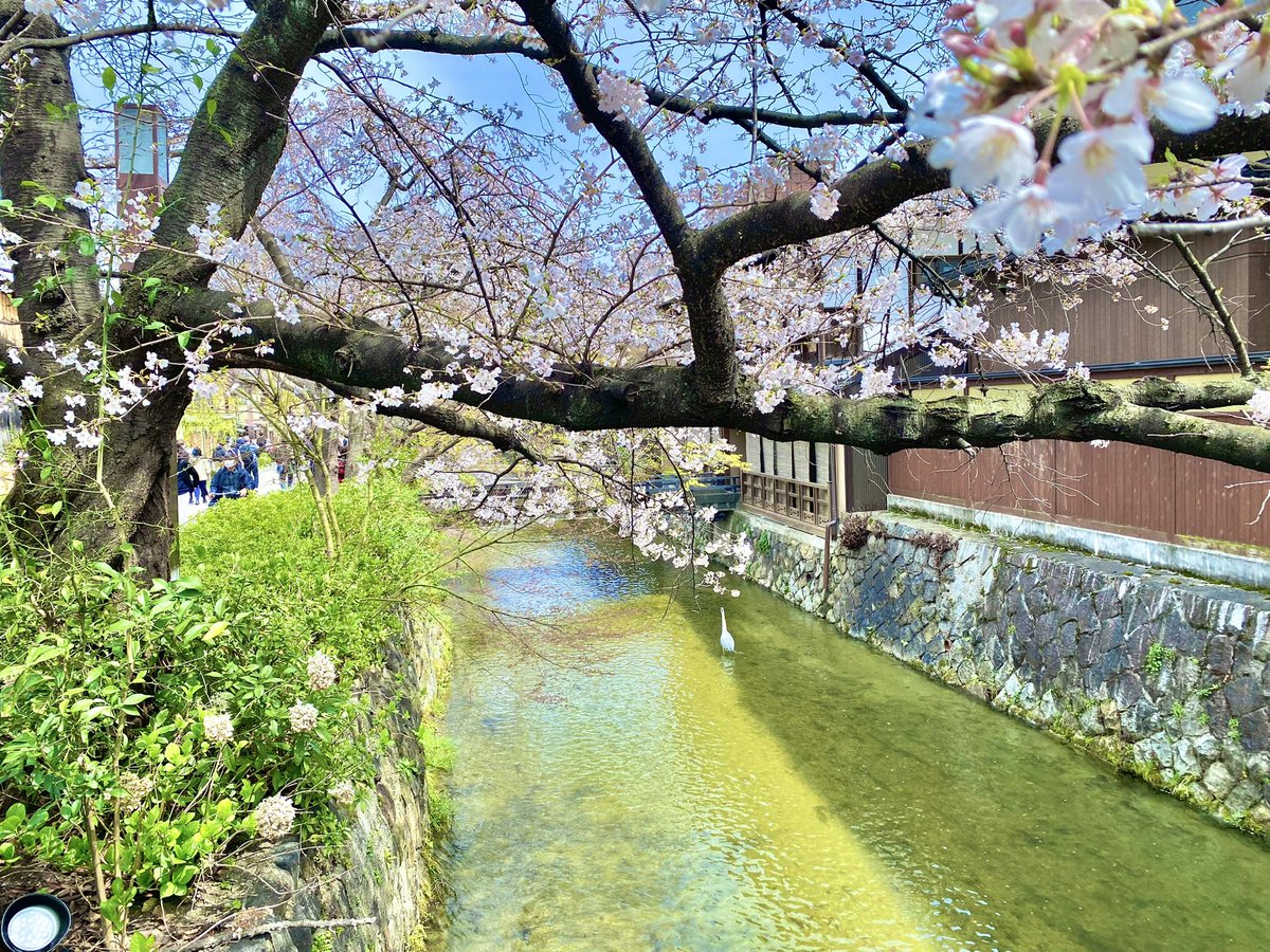 Tory🍊💫 tweet media