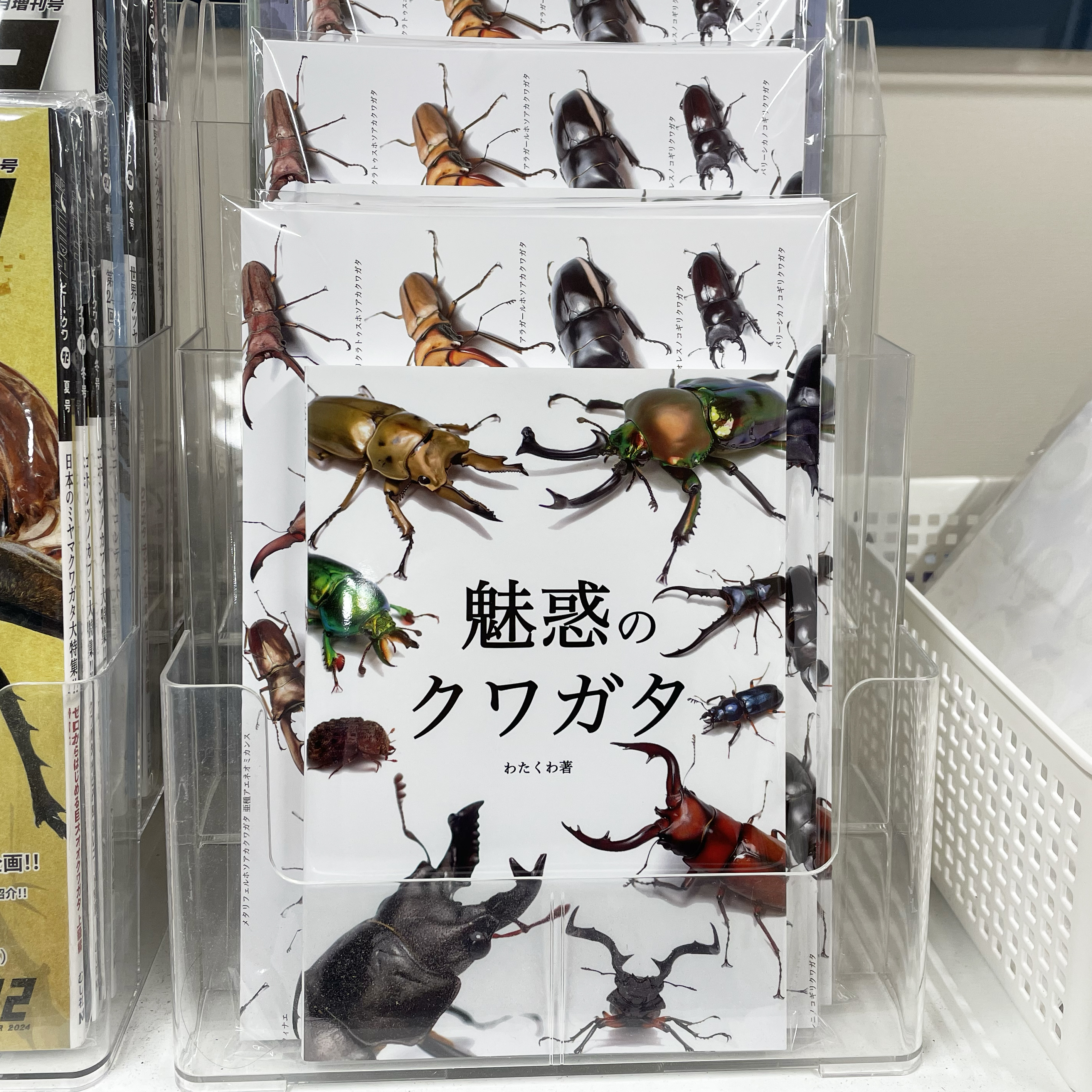 セール‼２千円引❗乗馬用品『夏の福袋』 暑さと虫対策をテーマに詰め込みました♥ セール‼2千円引❗乗馬用品『夏の福袋』 暑さと虫対策