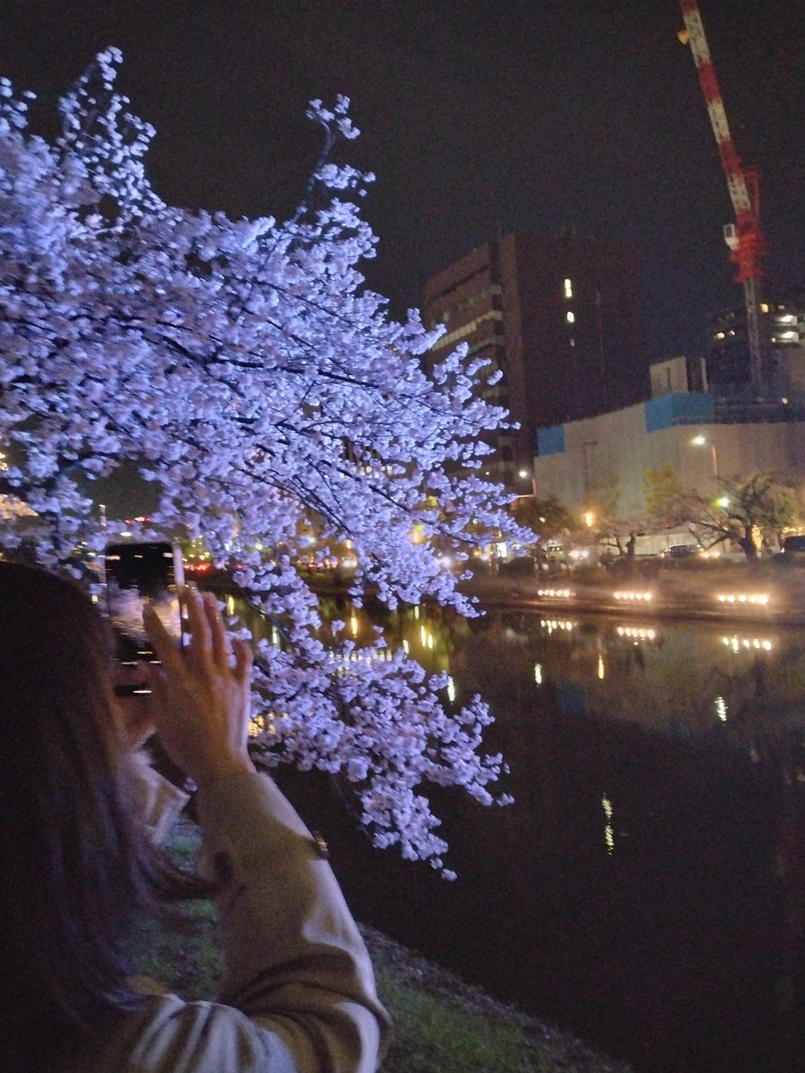 今日は年下の女の子と夜桜デート
桜も綺麗でめっちゃ楽しかった！
