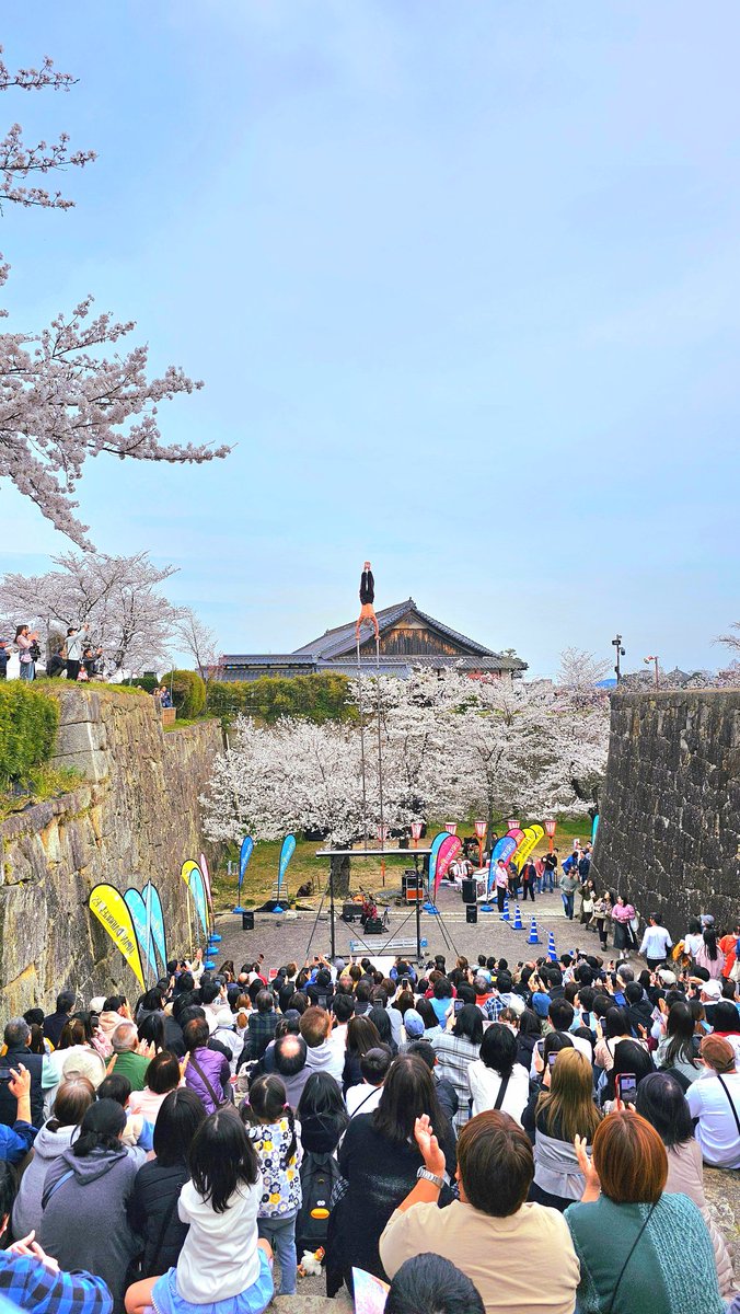 tick_and_chop's tweet image. #日本大道芸フェスin津山さくらまつり 1日目終了！応援してくれた皆様ありがとうございました！☝️☝️

明日は城下スクエアという、のんびりとした広場なんで、なにとぞ来てください(笑)
ちょっぷ誕生日ですし(笑)🎂