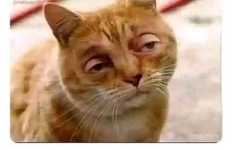 karuri018's tweet photo. @Its_Nate_ Mwalimu akifunza about thermal expansion form two ulikua unadhani anaongelelea thermos ya uji. https://t.co/w7E0a0q8wX