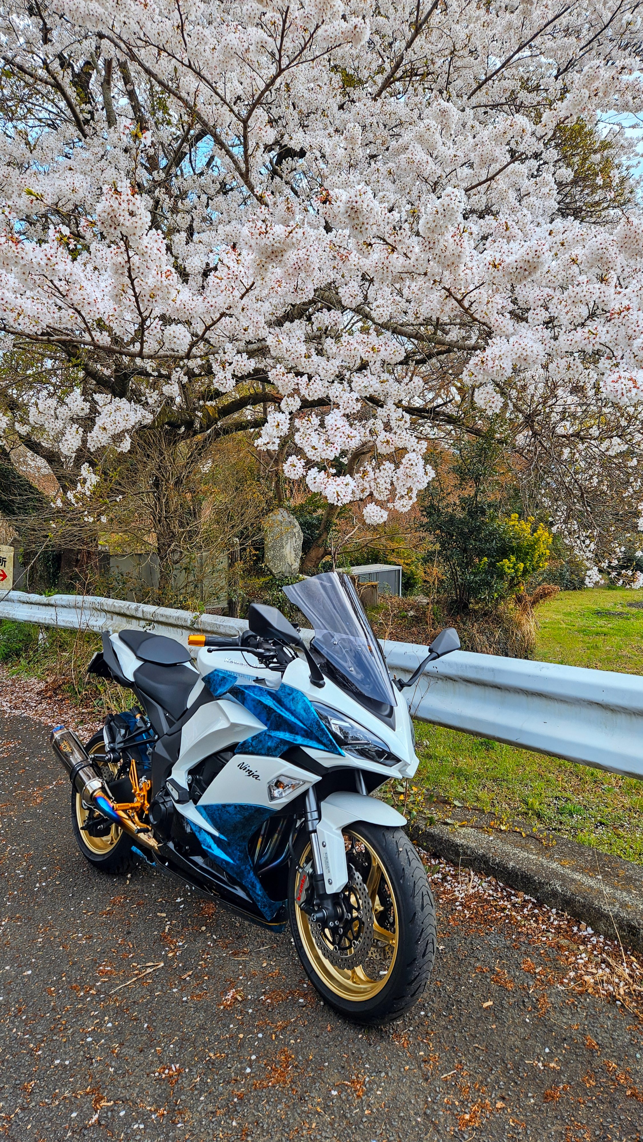 hina.*・゜さま　　専用 楽天市場】ゼノア 純正部品 刈払機 草刈機 【TRZ265 TKZ265用